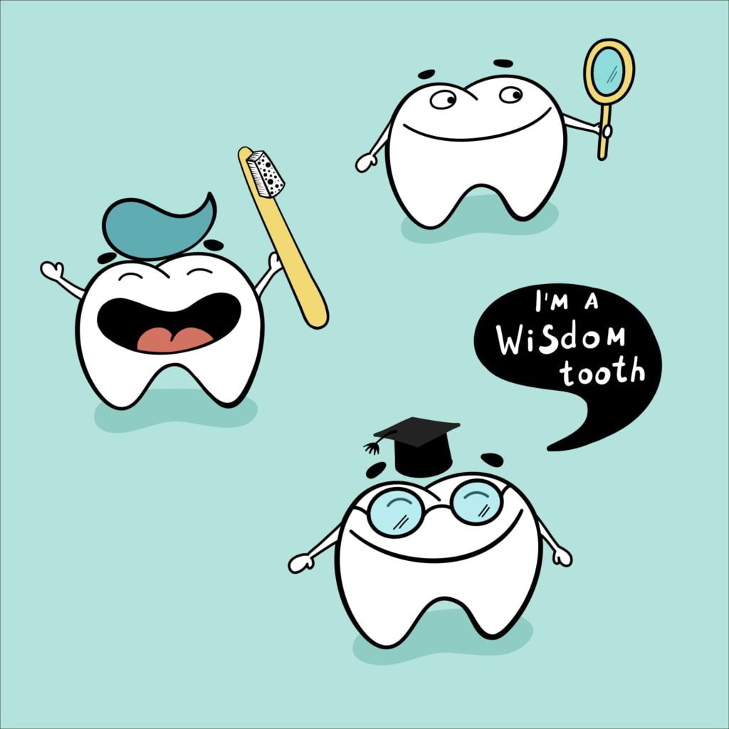 Wisdom teeth don't make you smart